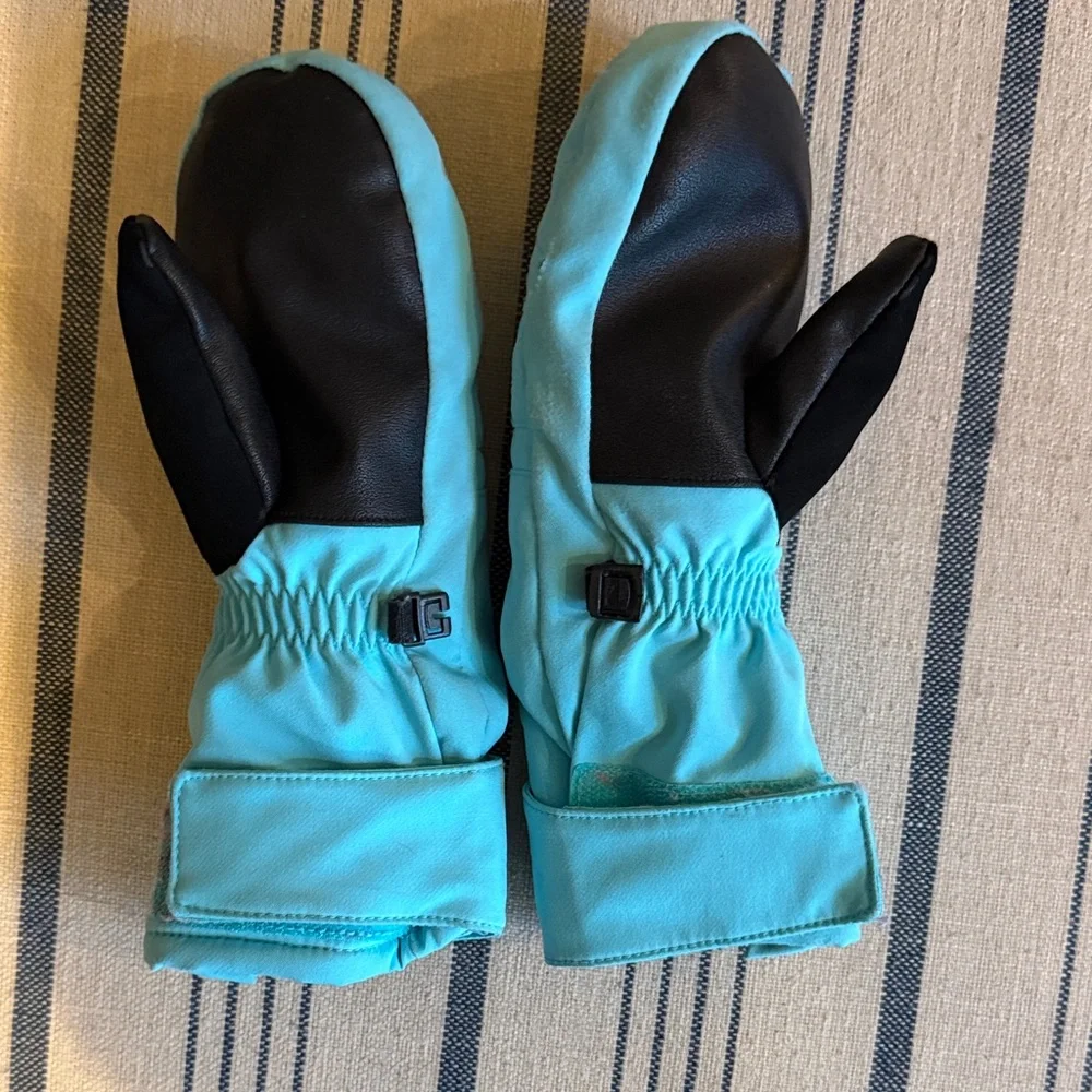 Spyder Blue Mittens